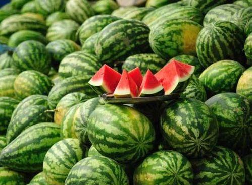 西瓜爆料网红炒作视频,网红炒作视频揭秘，真相令人咋舌  第2张