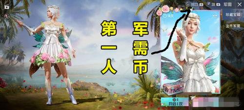 吃鸡军需币军需爆料最新,军需盛宴即将开启！  第3张